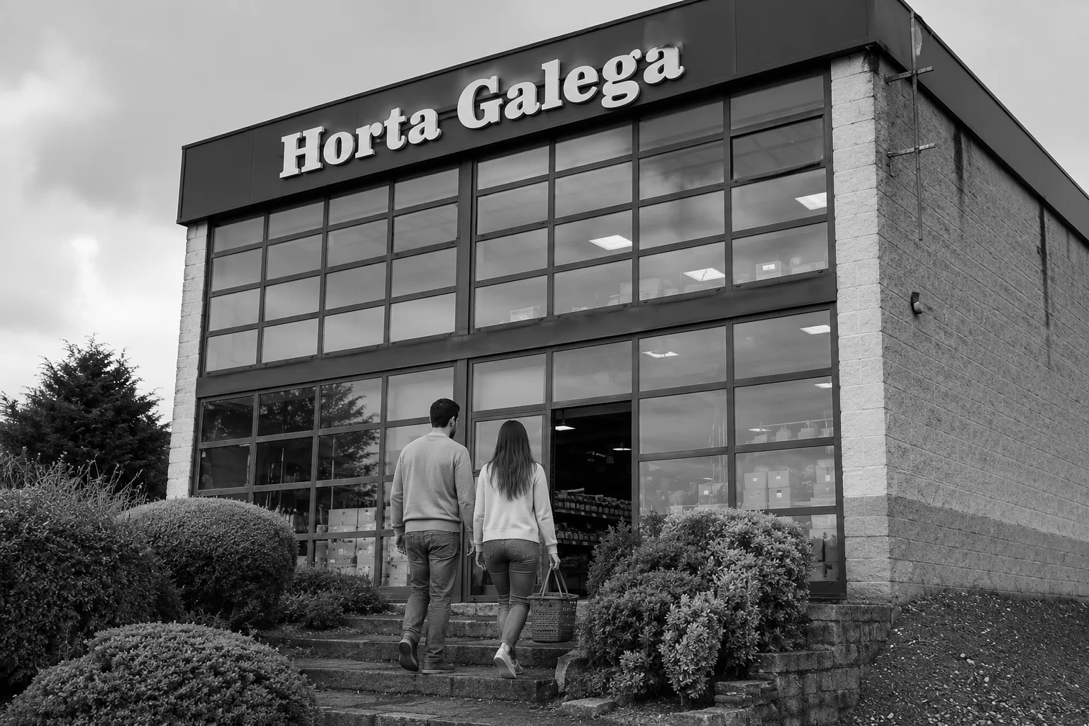 Comunicación y redes sociales para empresas en Lugo